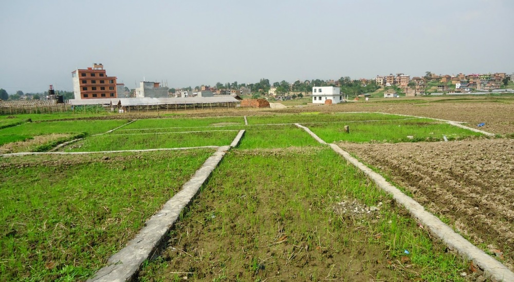 बैंकलाई लिलाम सकारेको जग्गा बिक्रीसम्बन्धी ३ वर्षे समयसीमा हट्यो