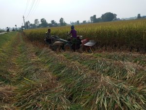 Online Bichar विकास, समृद्धी र सुशासनको पहरेदार