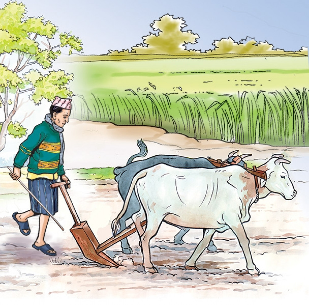राष्ट्रिय किसान आयोगद्वारा कृषि क्षेत्रमा देखिएको समस्या समाधान गरिदिन आग्रह