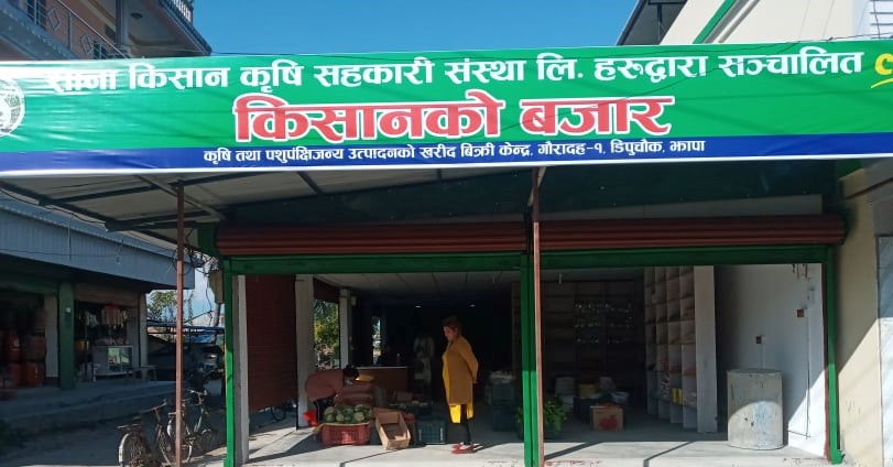 गौरादहमा सानाकिसानको उत्पादन खरिदबिक्रि पसल बजार