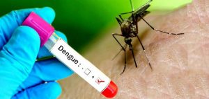 देशको ७५ जिल्लामा १९ हजार ७ सय ६६ जनामा डेंगु संक्रमण पुष्टि,मृत्यु हुनेको सख्या २५ पुग्यो