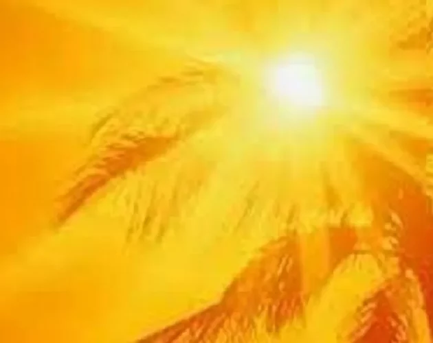 आज र भोलि तराईका अधिकांश भूभागमा तातो दिन रहने, सतर्कता अपनाउन आग्रह