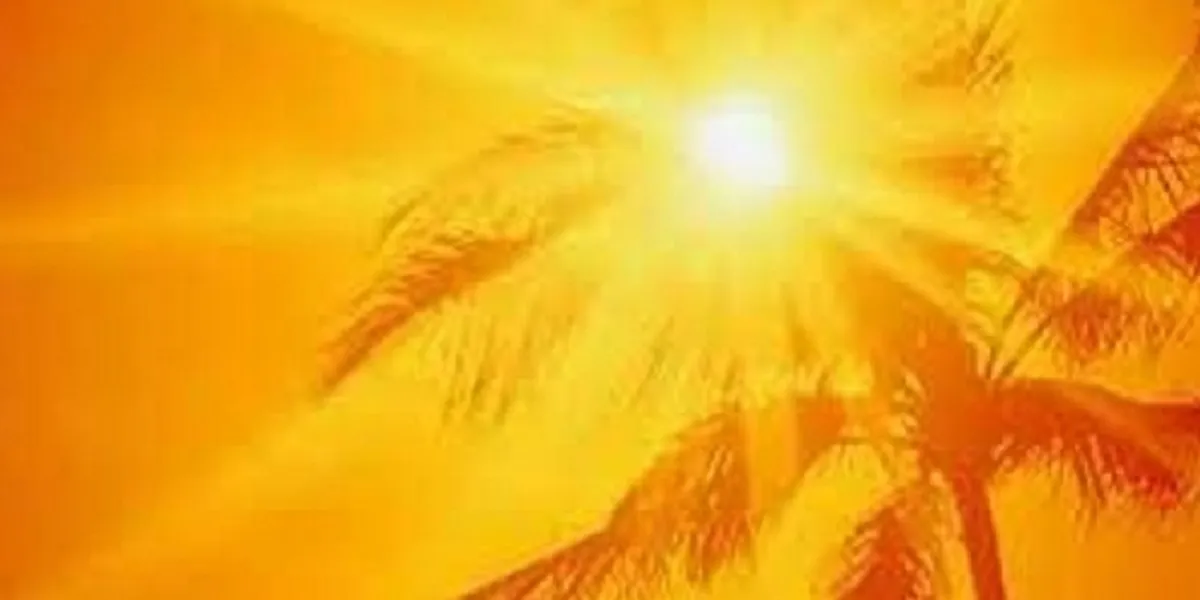 Online Bichar विकास, समृद्धी र सुशासनको पहरेदार