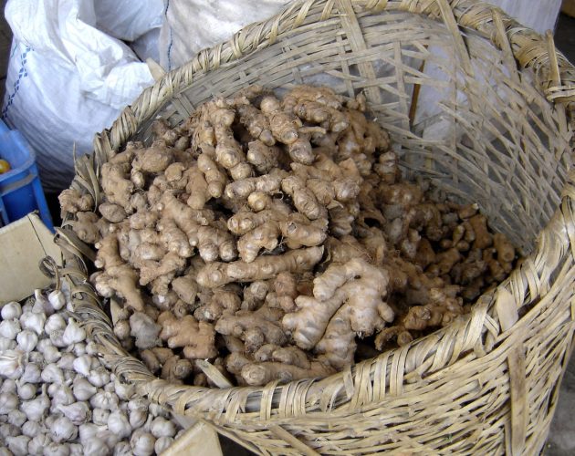 इलाममा रोगका कारण अदुवा उत्पादनमा ह्रास