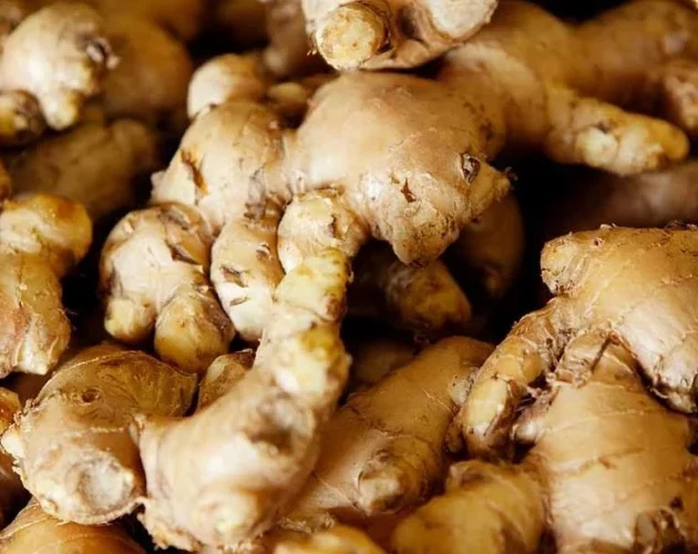 रुकुम पश्चिममा यस वर्ष ९ करोडको अदुवा बिक्री
