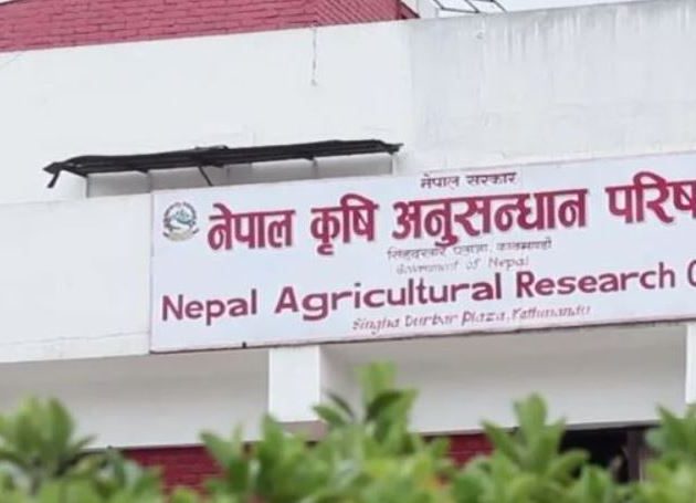 बिउ उत्पादन तथा वर्णशङ्कर प्रविधिसम्बन्धी किसानलाई तालिम