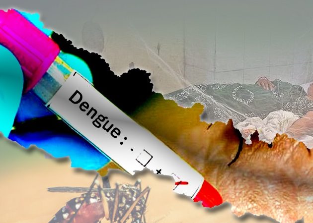 ७३ जिल्लाबाट एक हजार नौ सय भन्दा बढीमा डेंगु सङ्क्रमण पुष्टि
