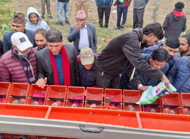 झापाको भद्रपुरमा मकैमा शून्य खनजोत खेतीको सुरुवात