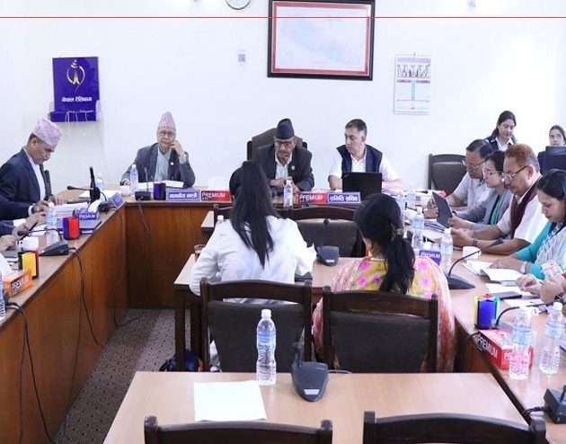निजी विद्यालय सञ्चालन कम्पनी मार्फत वा गुठीमा जान सकिने व्यवस्था