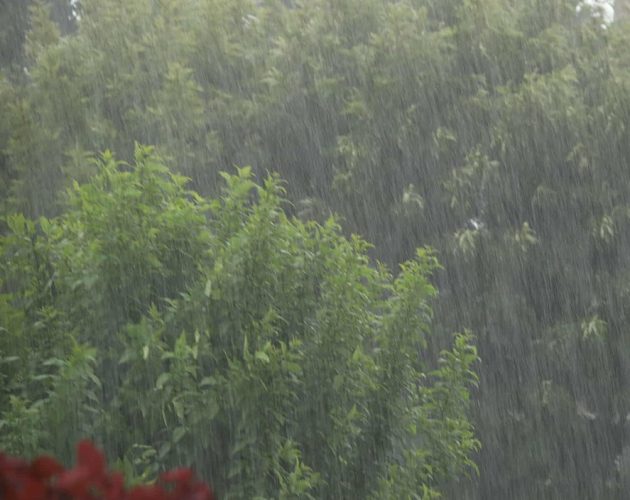 देशका विभिन्न प्रदेशमा मेघगर्जनसहित वर्षा, सतर्कता अपनाउन मौसम विभागको आग्रह