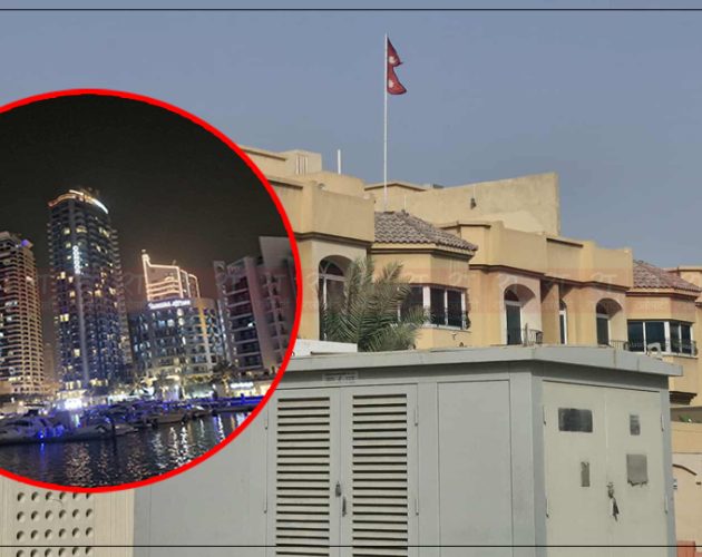 यूएईले भिजिट भिसापछि वर्किङ भिसामा समेत रोक लगायो