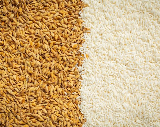 नेपालमा धानको सट्टा विदेशबाट सिधै तयारी चामल भित्रिने क्रम बढ्दो