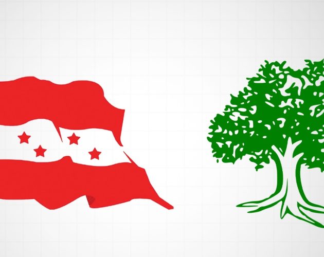 सीमावर्ती भन्सार शुल्क निर्णय फिर्ता लिन कांग्रेसको माग