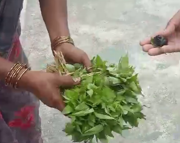 सागमा ब्राउन सुगर लुकाएर ल्याउने महिला पक्राउ, दमकमा अर्का युवकसमेत नियन्त्रणमा