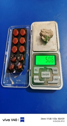 झापामा ब्राउन सुगरसहित दुई युवक पक्राउ