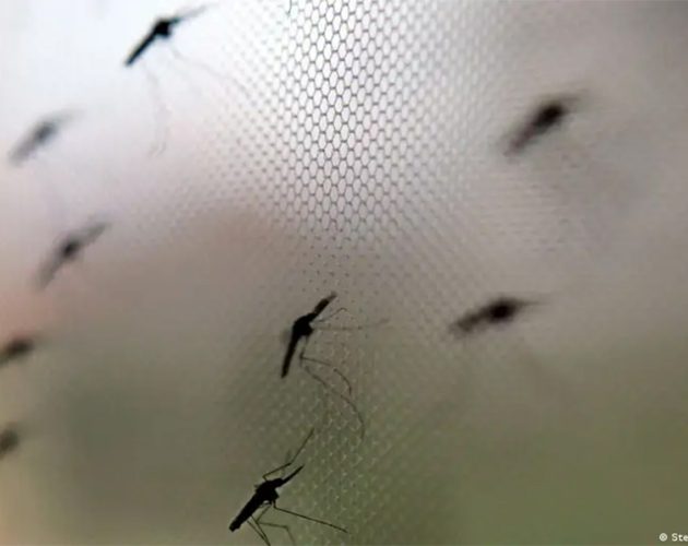 नवजात शिशुका लागि पहिलो मलेरियाविरुद्धको औषधिलाई डब्ल्यूएचओले दियो स्वीकृति