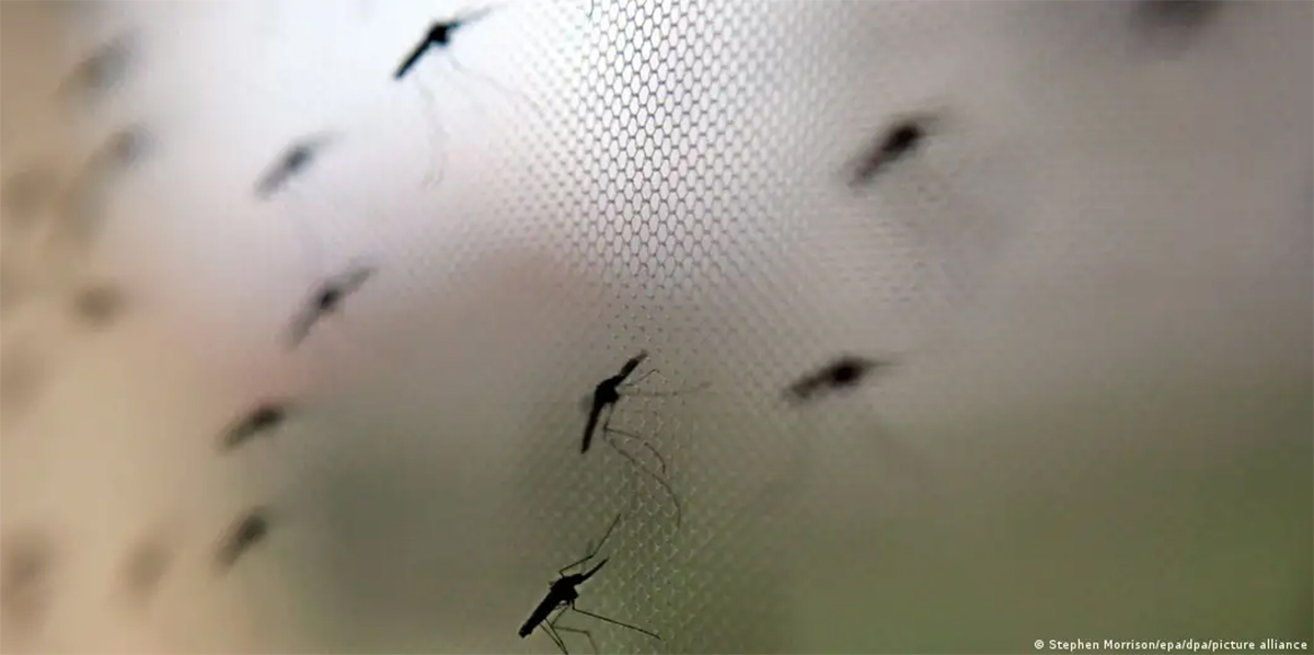 Online Bichar विकास, समृद्धी र सुशासनको पहरेदार