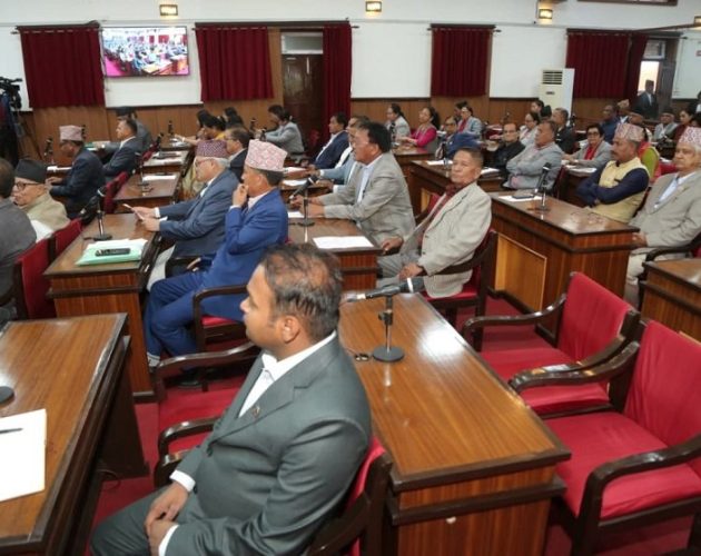 राष्ट्रिय सभाबाट दुई संयुक्त समितिमा सांसद मनोनयन