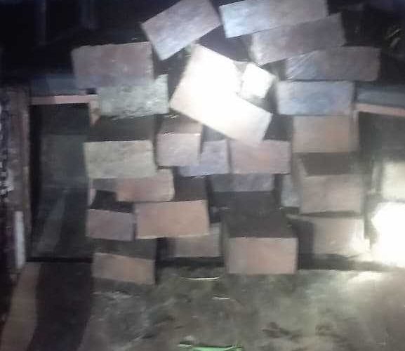 झापाको शिवसताक्षीमा बेवारिसे अवस्थामा अवैध काठ फेला
