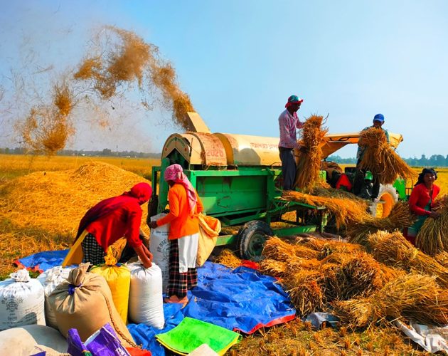 धानको समर्थन मूल्य वैज्ञानिक आधारमा तोक्न कृषि विभागको सिफारिस