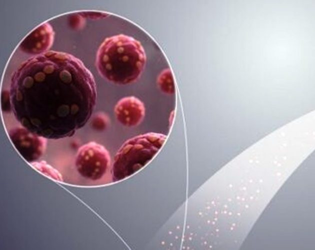 क्यानडामा हान्ताभाइरसको पहिलो पुष्टि भएको संक्रमण फेला