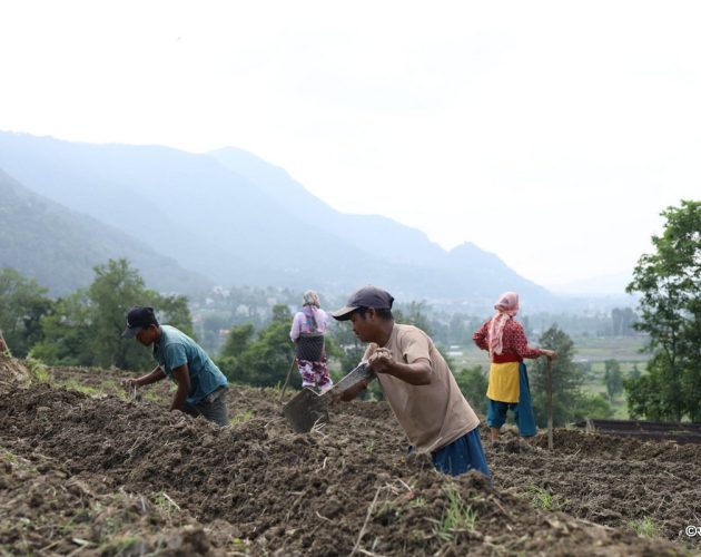 देशभर २६ लाख किसान सूचीकरण प्रणालीमा आबद्ध