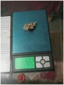ब्राउन सुगरसहित कमलका एक युवक पक्राउ
