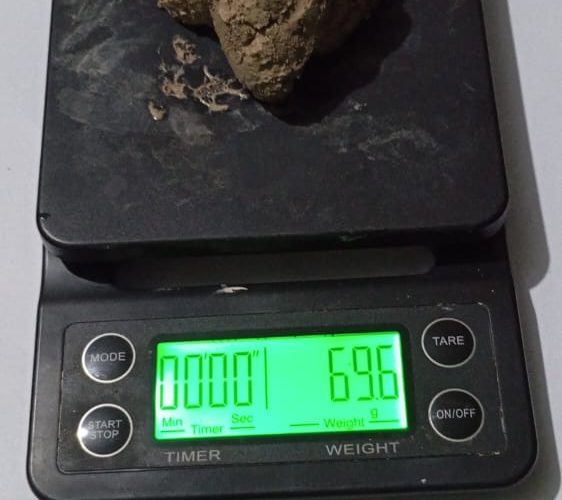 झापामा ब्राउन सुगरसहित भारतीय युवक पक्राउ