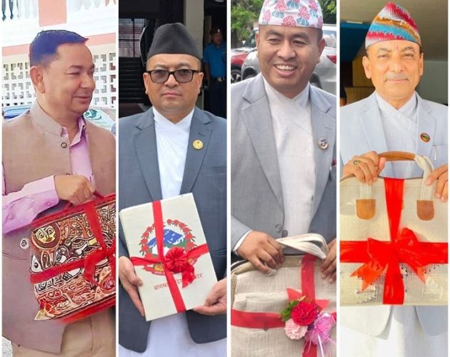 ६ प्रदेशको बजेट सार्वजनिक
