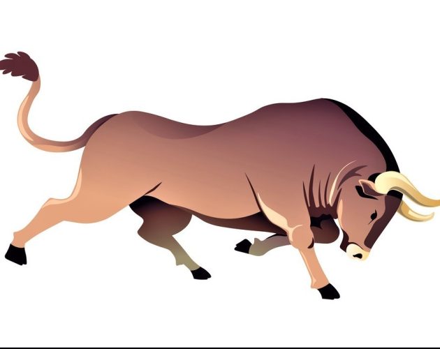 झापामा साँढे गोरुको आक्रमणबाट एक जनाको मृत्यु