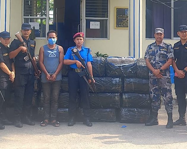 मोरङमा मिनी ट्रकबाट १ हजार ३३ किलो गाँजा बरामद, चालक पक्राउ