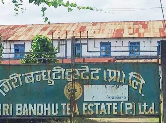 गिरीबन्धु टी स्टेट प्रकरण छिट्टै टुंग्याउन सञ्चालक गिरीको माग