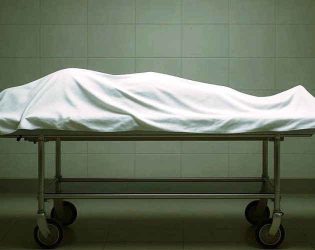 फ्रान्समा गर्मीको लहरले मृत्यु ३० प्रतिशतले बढ्यो