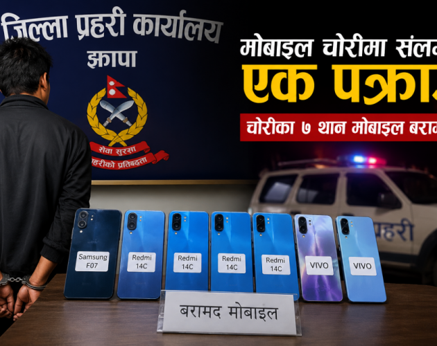 झापाको दमकमा मोबाइल चोरीमा संलग्न एक पक्राउ, घरबाट ७ थान चोरीका मोबाइल फेला