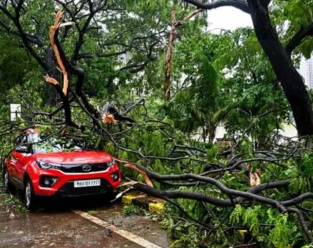 मुम्बईमा भारी वर्षा : विद्यालय बन्द, पुणेमा चार जनाको मृत्यु