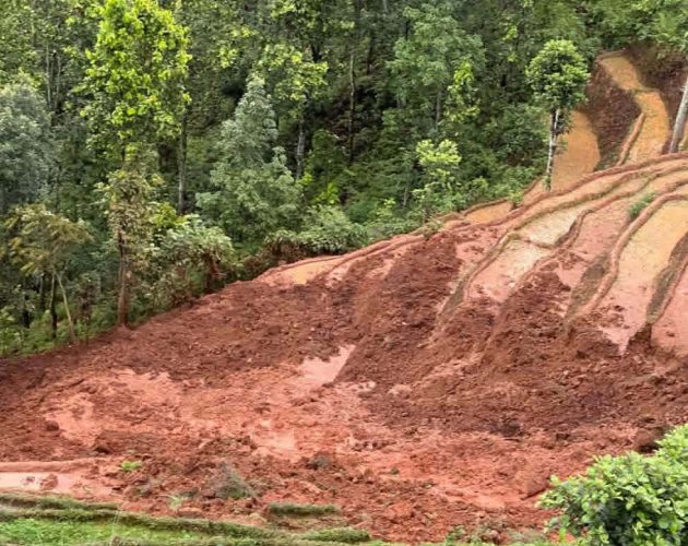 नुवाकोटमा रोपाइँ गरिरहेका बेला पहिरो, ६ किसान घाइते, एकको अवस्था गम्भीर