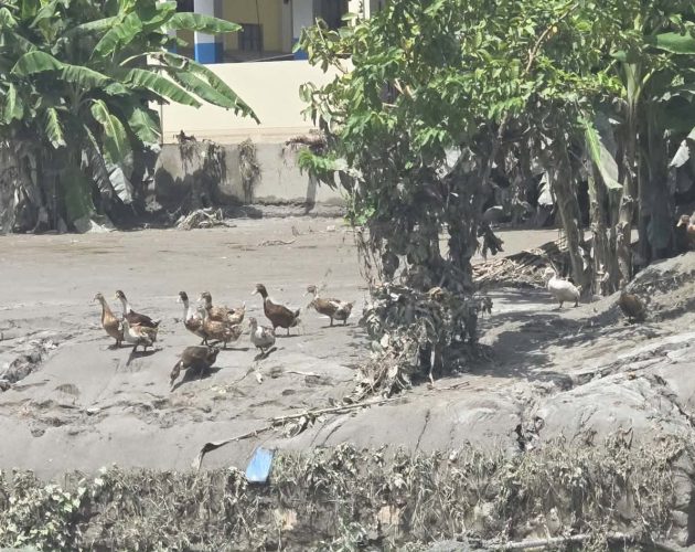 बाढीमा मृत्यु हुनेको संख्या ४८९ पुग्यो, २८ प्रहरी सम्पर्कविहीन