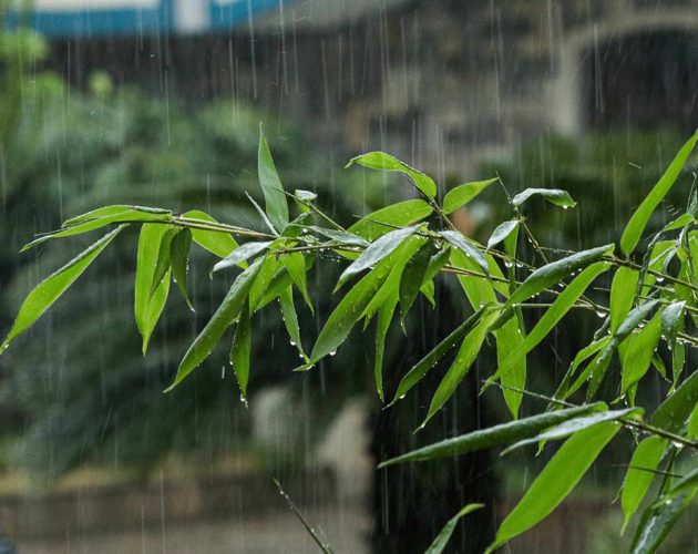 देशका धेरै स्थानमा वर्षा, बूढानीलकण्ठमा तीन घण्टामै ४६.६ मिलिमिटर पानी
