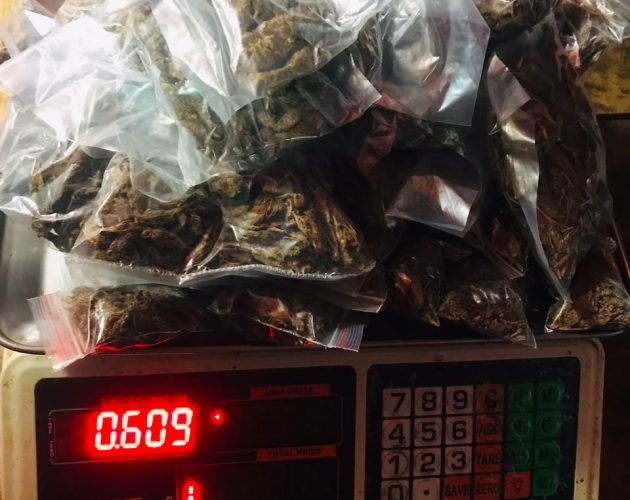 झापाको बिर्तामोडबाट ५२८ ग्राम गाँजासहित एक महिला पक्राउ