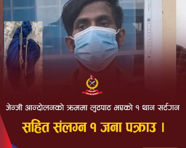 जेनजी आन्दोलनमा लुटिएको सर्टगनसहित दमकबाट एक युवक पक्राउ