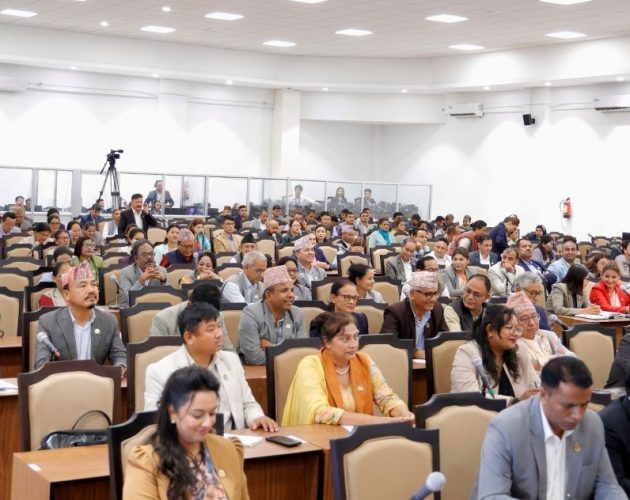 प्रतिनिधिसभाबाट खानी तथा खनिज पदार्थ विधेयक बहुमतले स्वीकृत