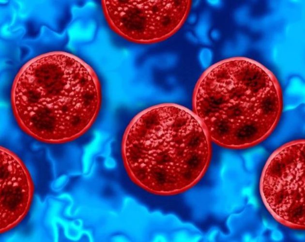 अमेरिकामा ‘साइक्लोस्पोरायासिस’ संक्रमण फैलियो, दुईजनाको मृत्यु