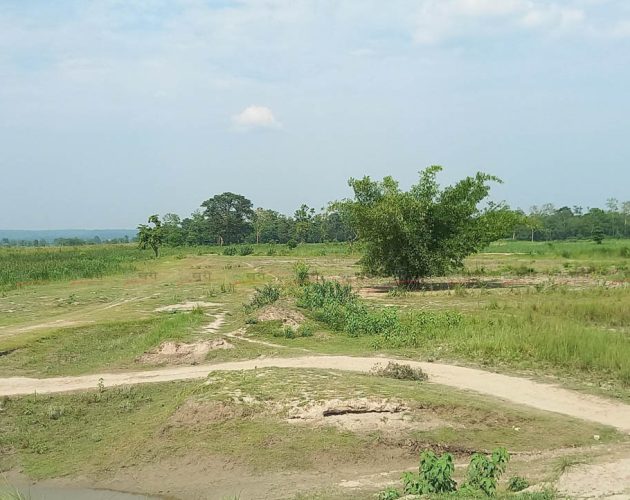 नेपाल–भारत सीमा क्षेत्रमा सीसीटीभीसहित आधुनिक प्रविधिबाट निगरानी बढाइने
