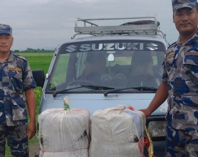 अस्पतालको नाम लेखिएको भ्यानमा ६० किलो गाँजा बरामद