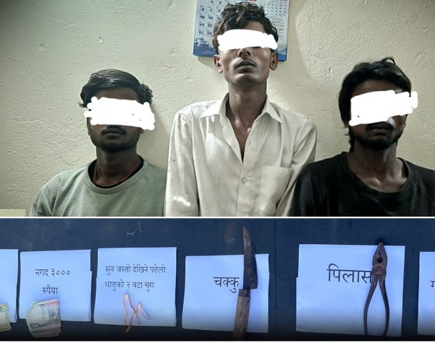 वृद्धाको हत्या गरी चोरी गर्ने आरोपमा तीन जना पक्राउ