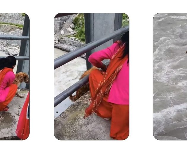 सेती नदीमा फालिएको कुकुर अझै बेपत्ता, मालिक पक्राउ