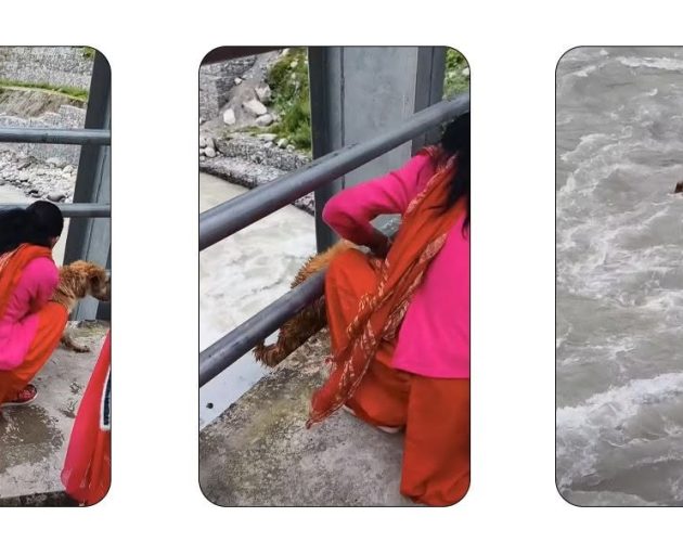 कुकुरलाई पुलबाट नदीमा फाल्ने महिला पहिचान गर्न प्रहरीको अनुसन्धान सुरु