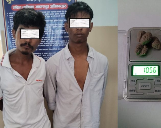 मेचीनगरबाट ब्राउन सुगरसहित अर्जुनधाराका दुई युवक पक्राउ