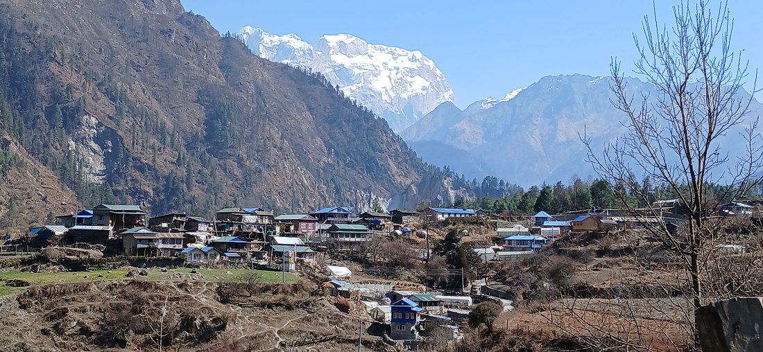 मनास्लु र लार्केपास पदमार्गको यात्रा नगर्न प्रशासनको आग्रह 1 Online Bichar विकास, समृद्धी र सुशासनको पहरेदार