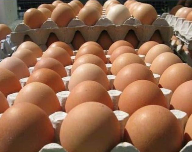 अण्डाको समर्थन मूल्य बढ्यो, प्रतिपेटी २०० रुपैयाँसम्म वृद्धि